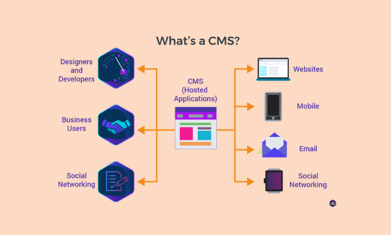 CMS is where the people in charge of the website features have to go.