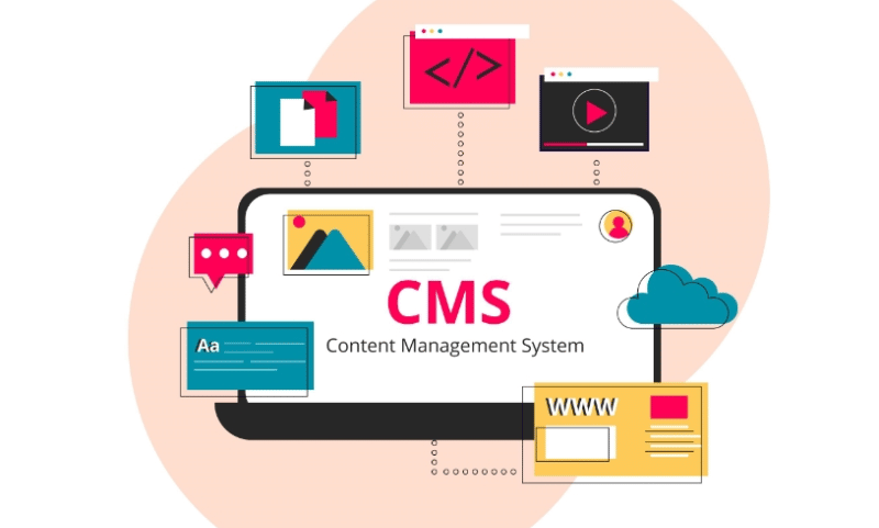 For advanced CMS types, it also helps to edit and classify categories. 