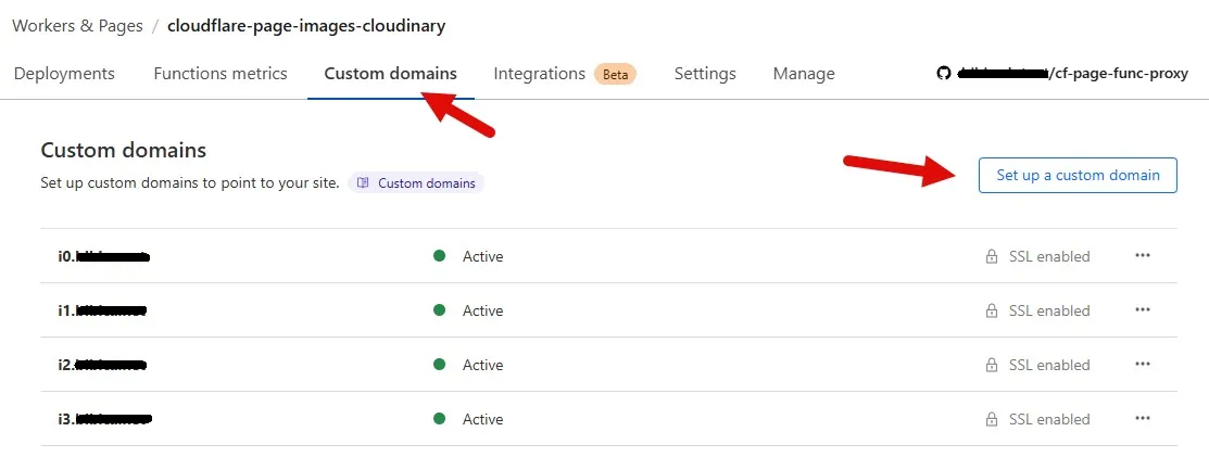 Cloudflare custom domain worker and page