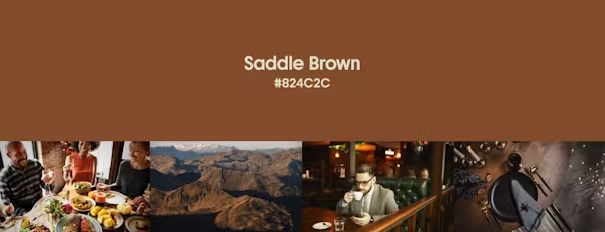 Saddle Brown - fall winter color