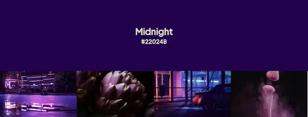 Midnight - the color that dominates fall winter 2024