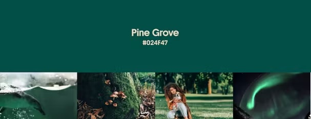 Pine Grove - the dominant color of fall winter 2024