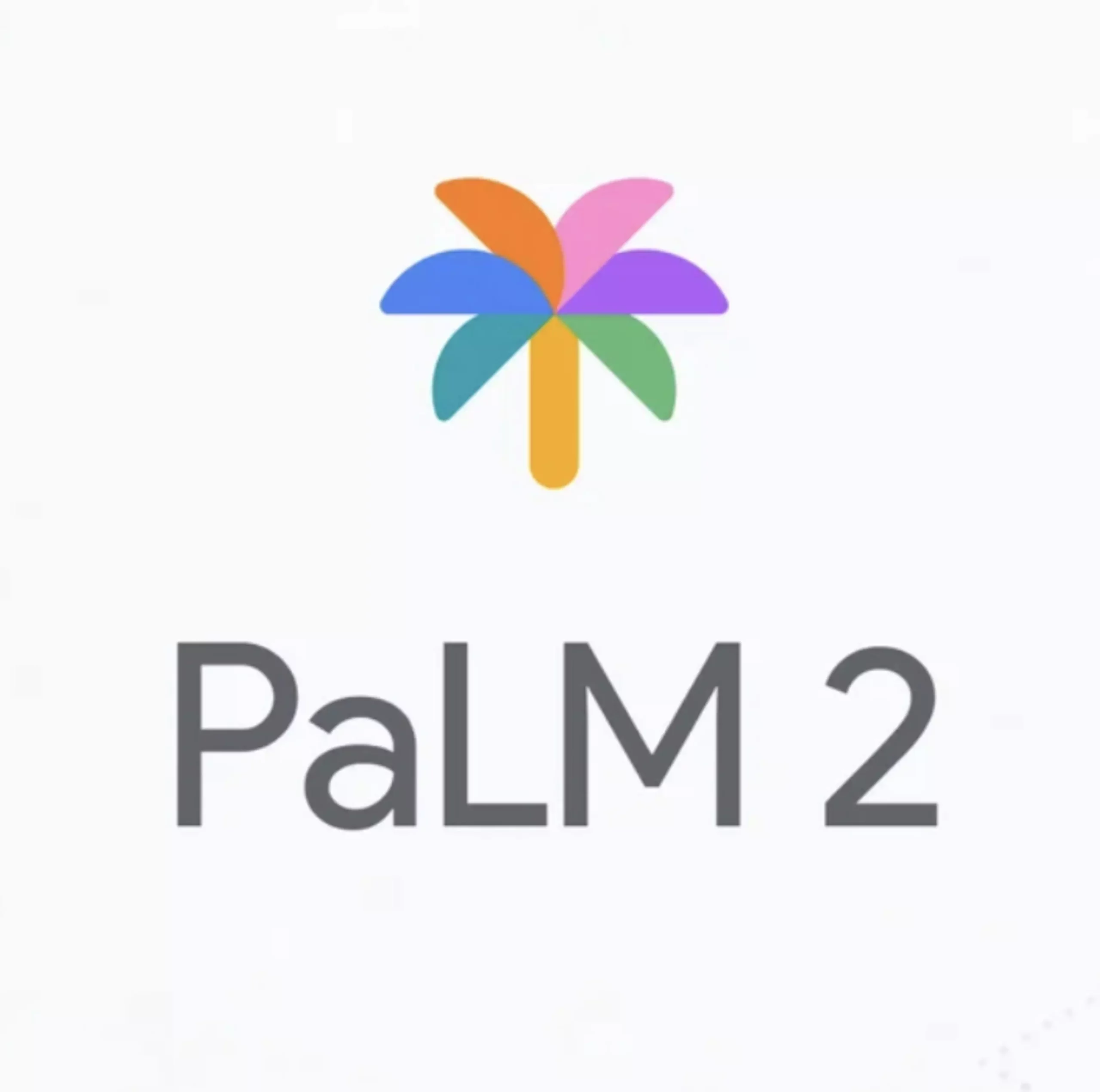 Palm 2